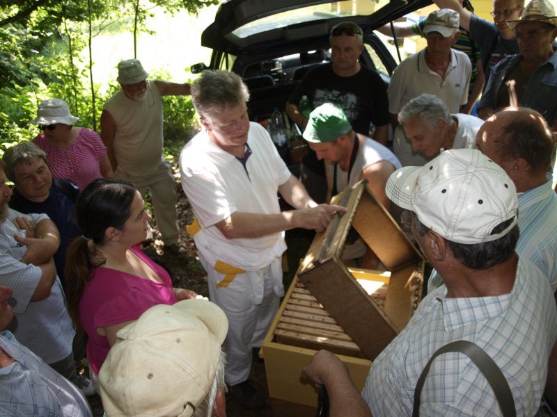 cimala04.jpg